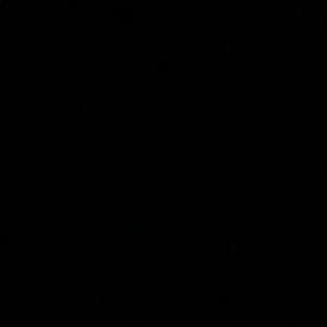 Meet your Posher, Elena